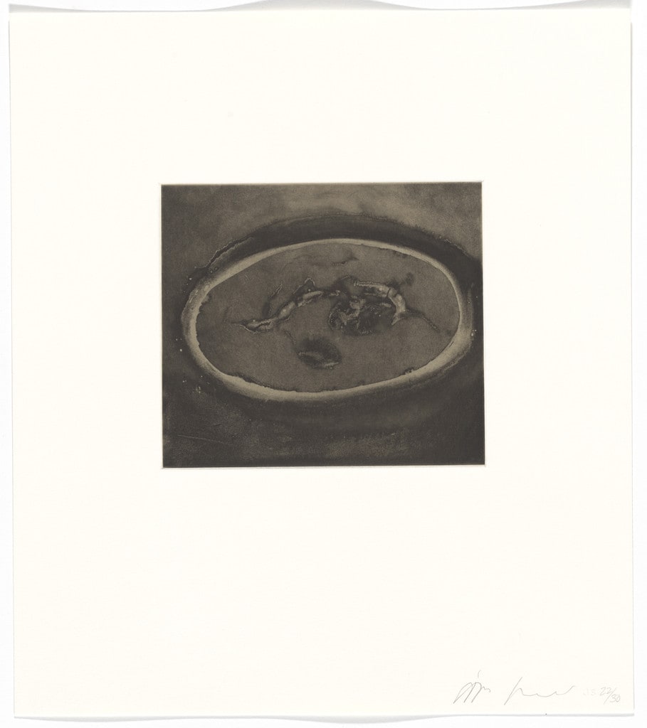Untitled from Blackness from Her Womb
