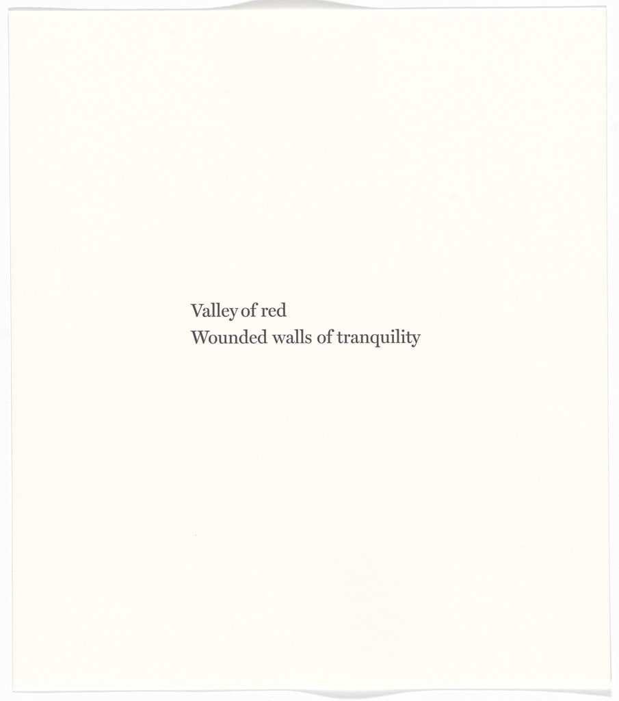 Untitled from Blackness from Her Womb