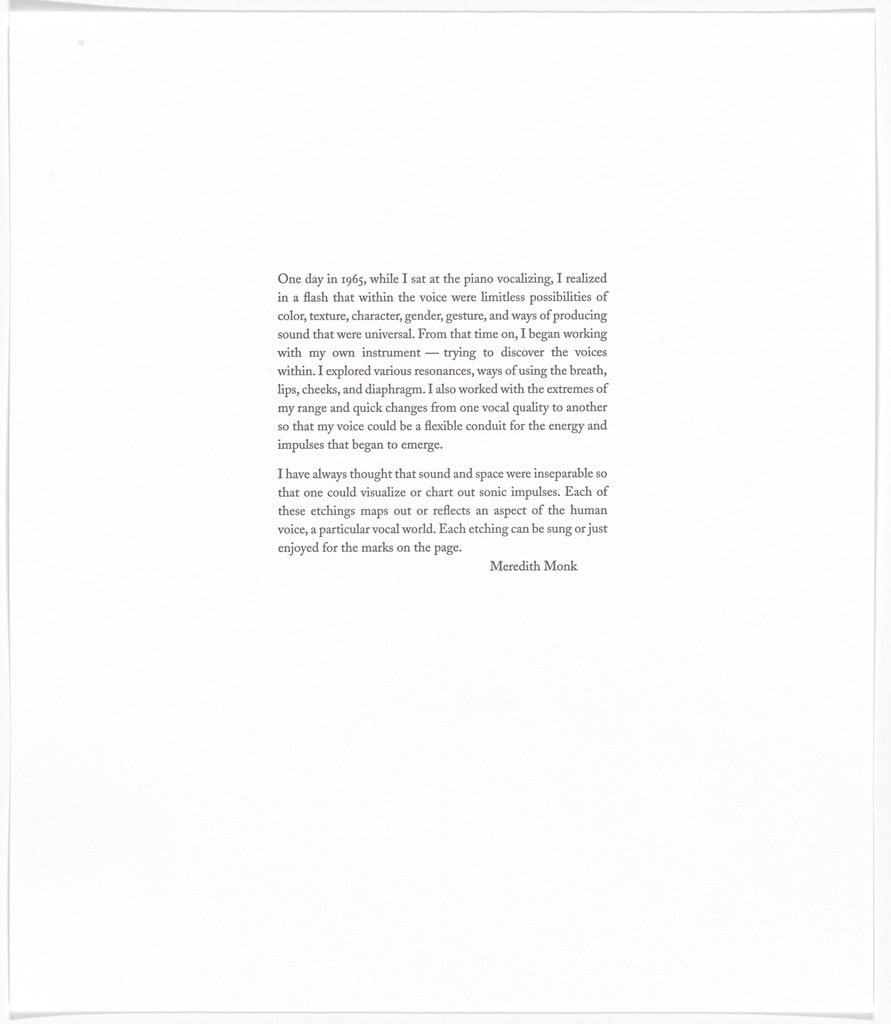 Untitled from Vocal Gestures