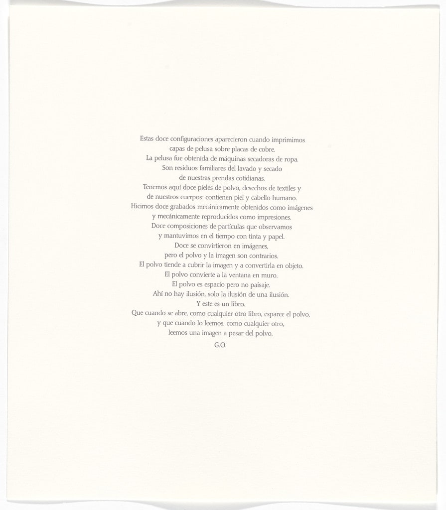 Untitled from Polvo Impreso (Lint Book)