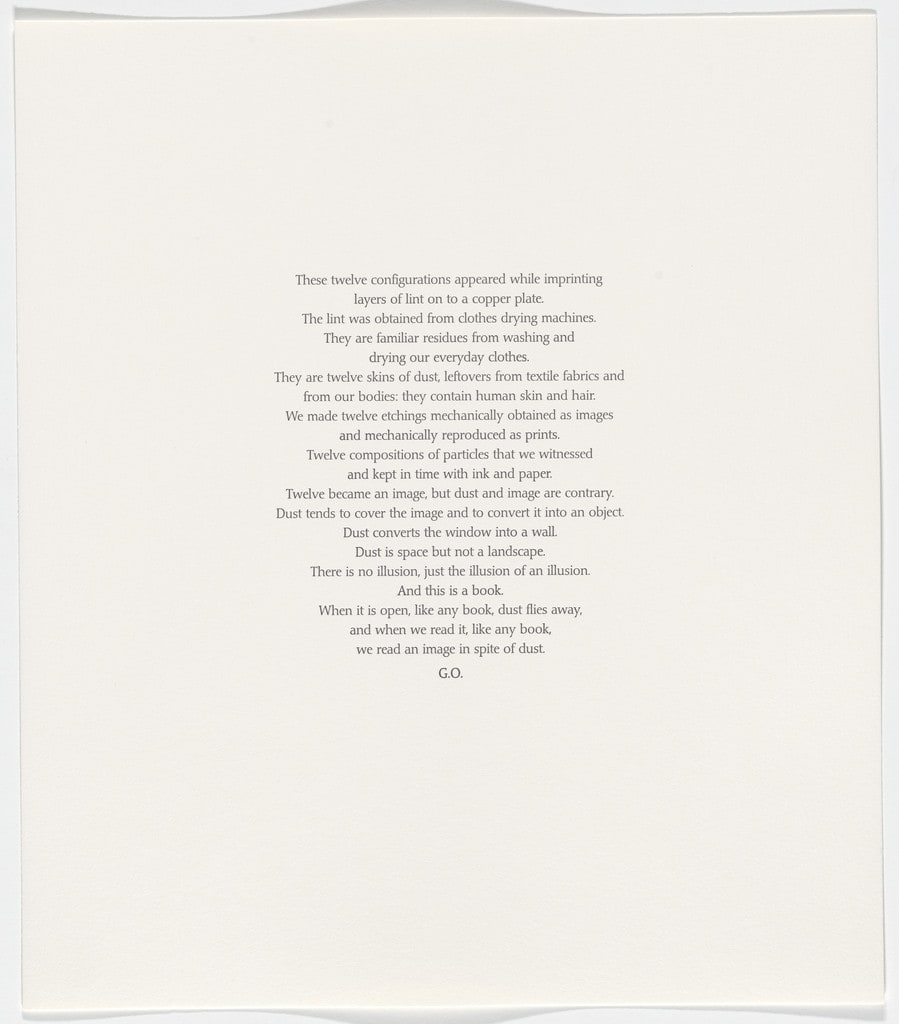 Untitled from Polvo Impreso (Lint Book)
