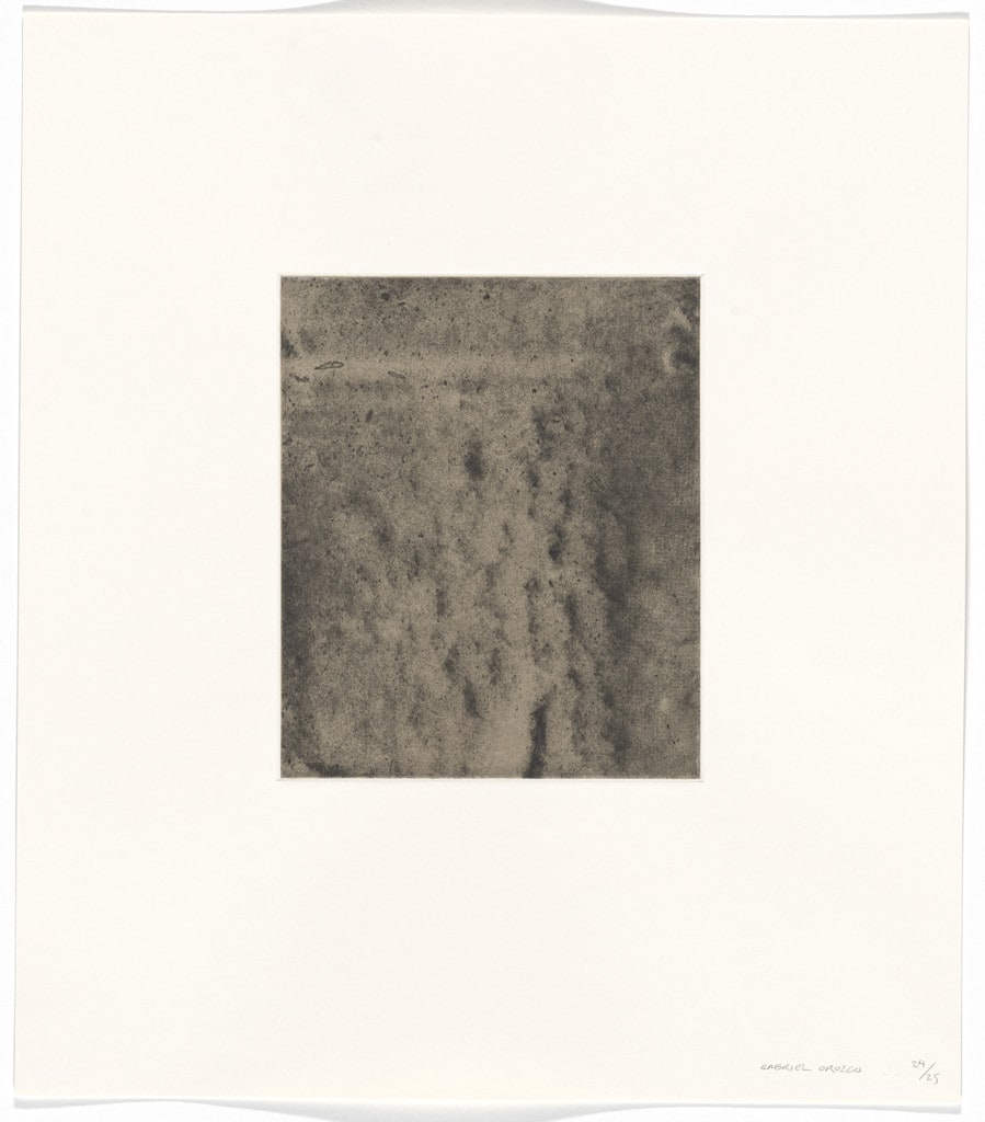 Untitled from Polvo Impreso (Lint Book)