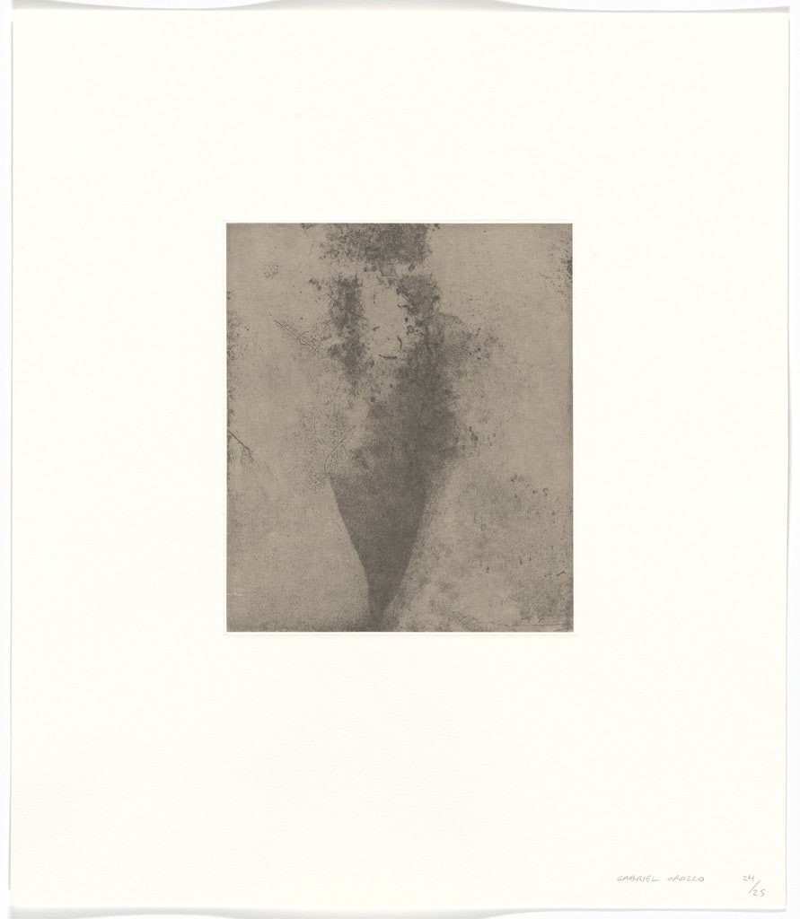 Untitled from Polvo Impreso (Lint Book)