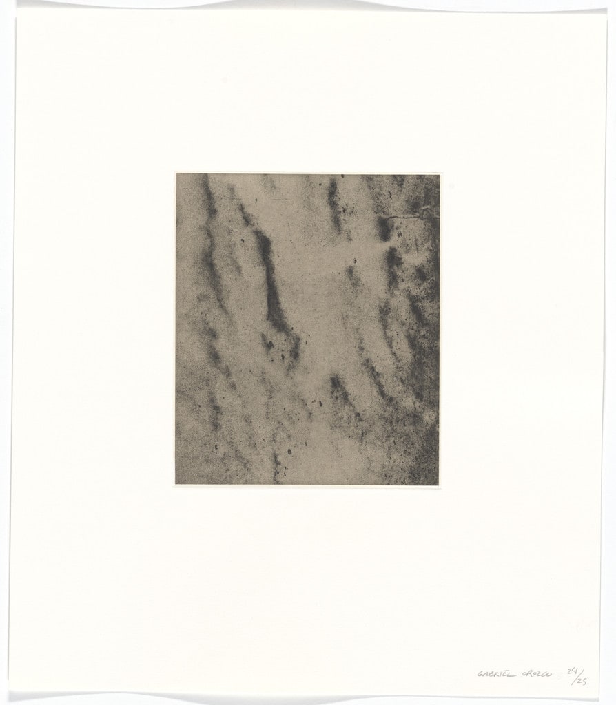 Untitled from Polvo Impreso (Lint Book)