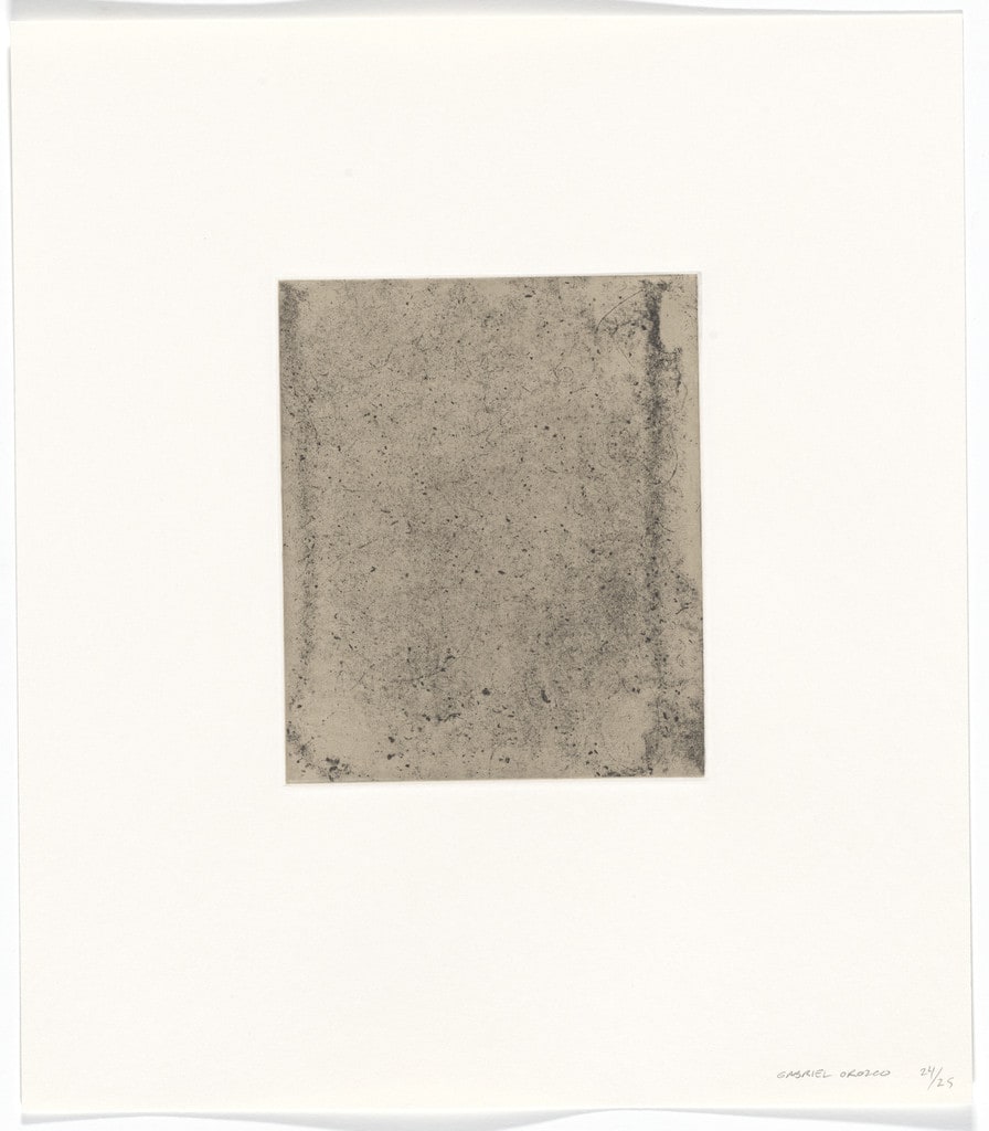 Untitled from Polvo Impreso (Lint Book)