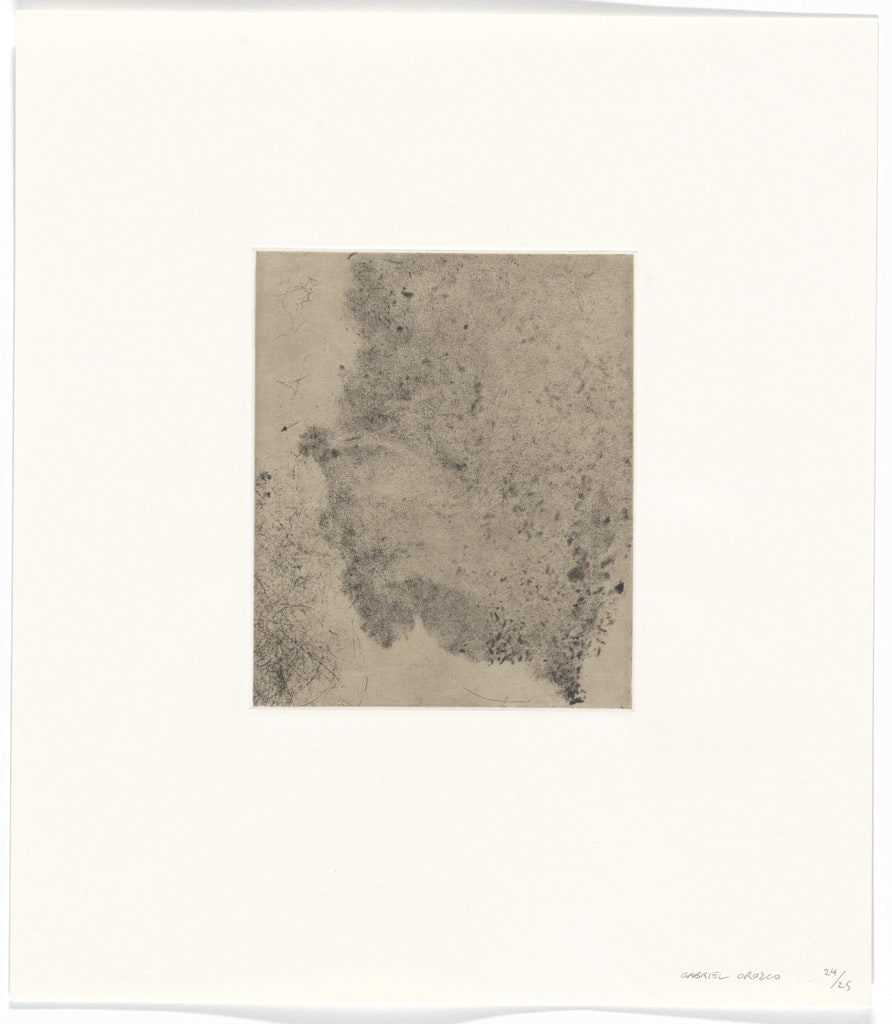 Untitled from Polvo Impreso (Lint Book)