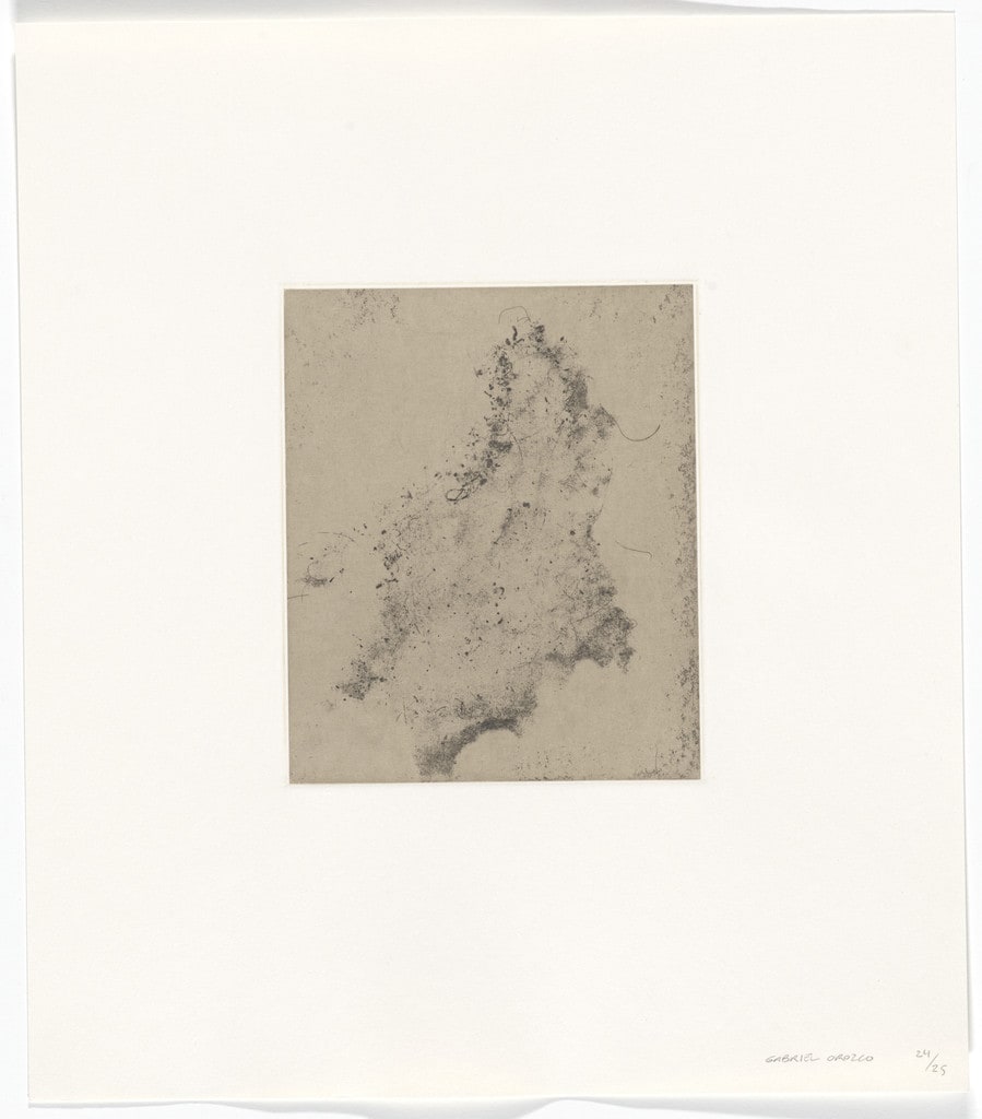 Untitled from Polvo Impreso (Lint Book)