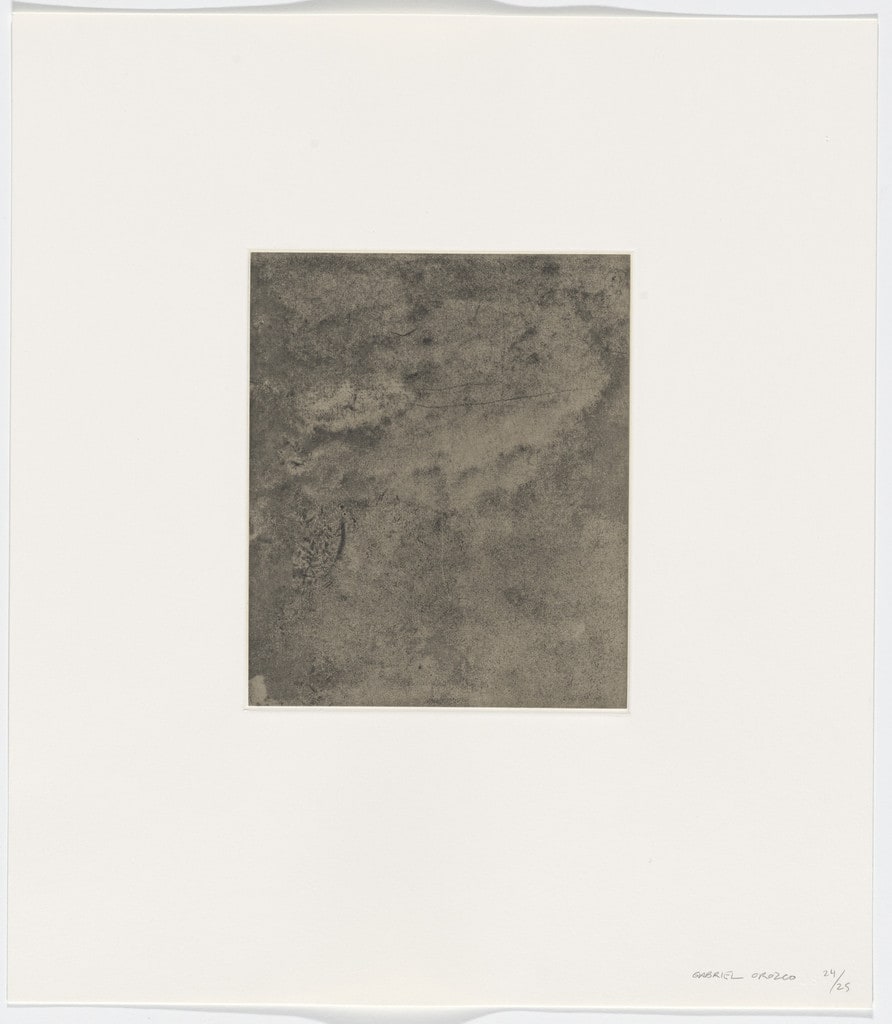 Untitled from Polvo Impreso (Lint Book)