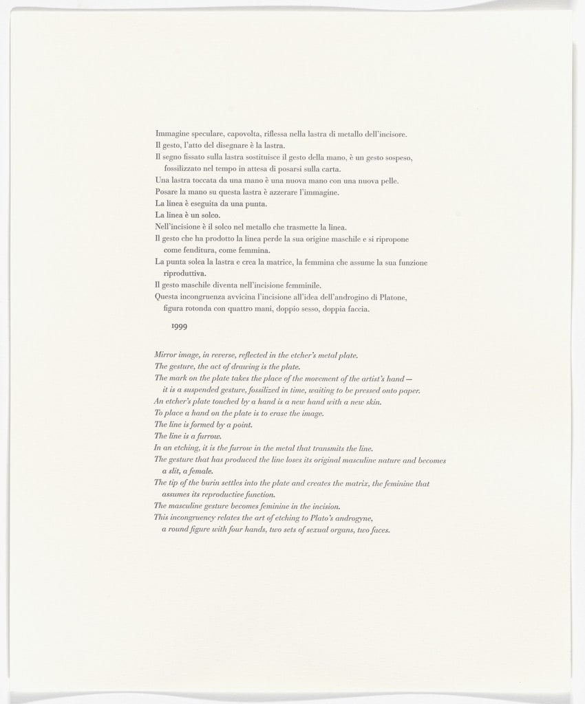 Untitled from Passi Sulle Cime Dei Gelsi (Footsteps on Mulberry Tree Tops)