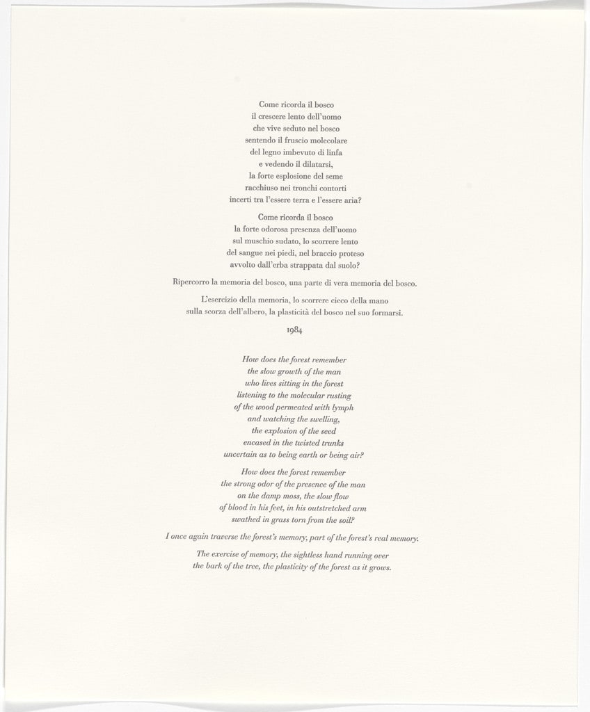 Untitled from Passi Sulle Cime Dei Gelsi (Footsteps on Mulberry Tree Tops)