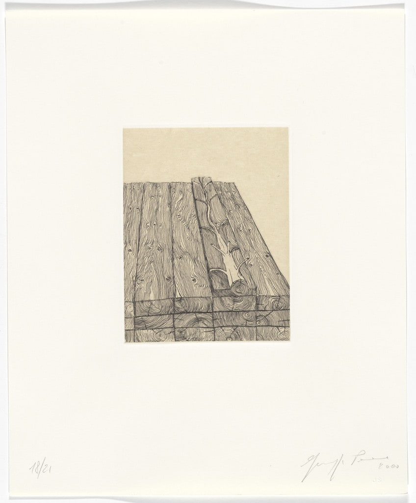 Untitled from Passi Sulle Cime Dei Gelsi (Footsteps on Mulberry Tree Tops)