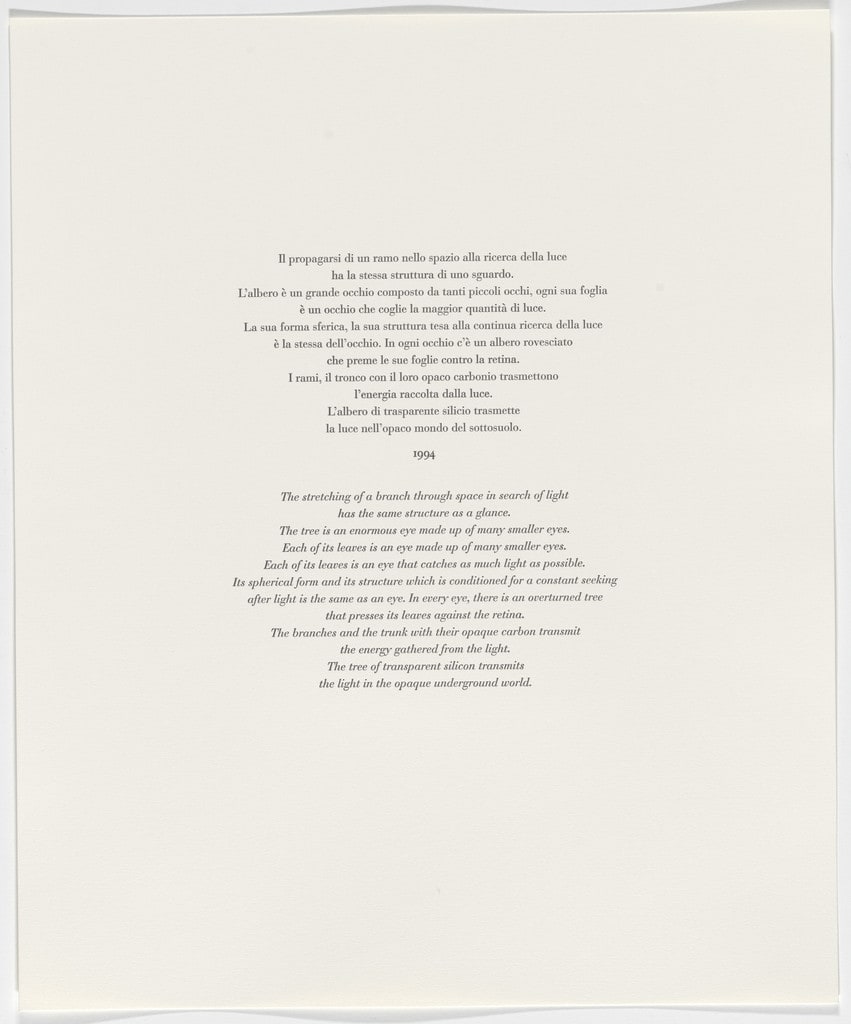 Untitled from Passi Sulle Cime Dei Gelsi (Footsteps on Mulberry Tree Tops)
