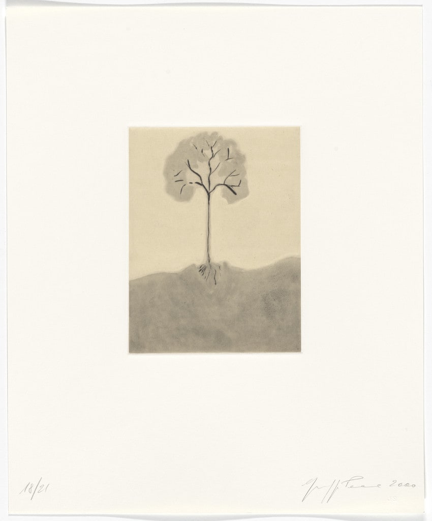 Untitled from Passi Sulle Cime Dei Gelsi (Footsteps on Mulberry Tree Tops)