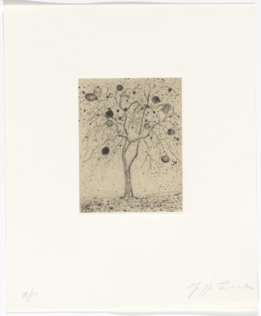 Untitled from Passi Sulle Cime Dei Gelsi (Footsteps on Mulberry Tree Tops)