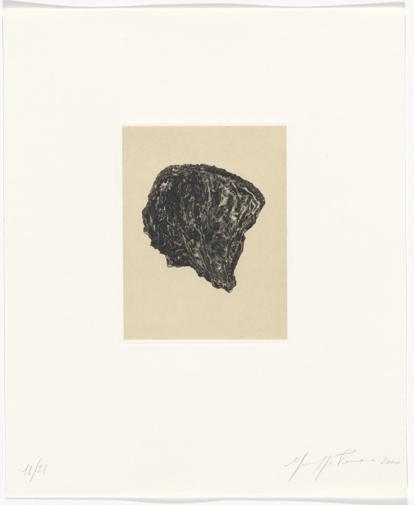 Untitled from Passi Sulle Cime Dei Gelsi (Footsteps on Mulberry Tree Tops)