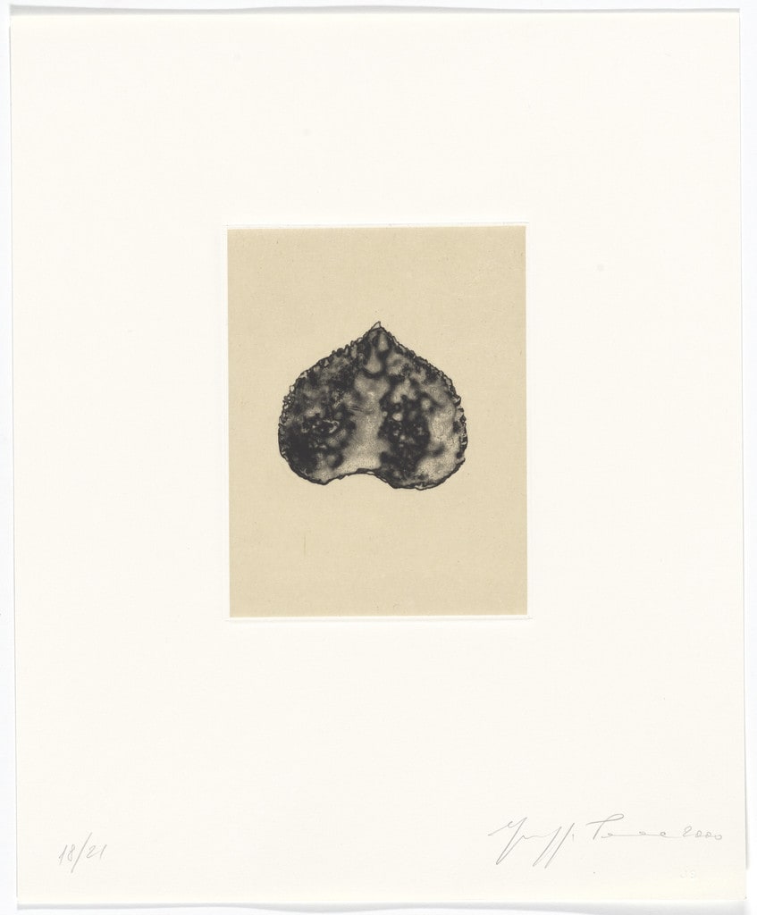 Untitled from Passi Sulle Cime Dei Gelsi (Footsteps on Mulberry Tree Tops)