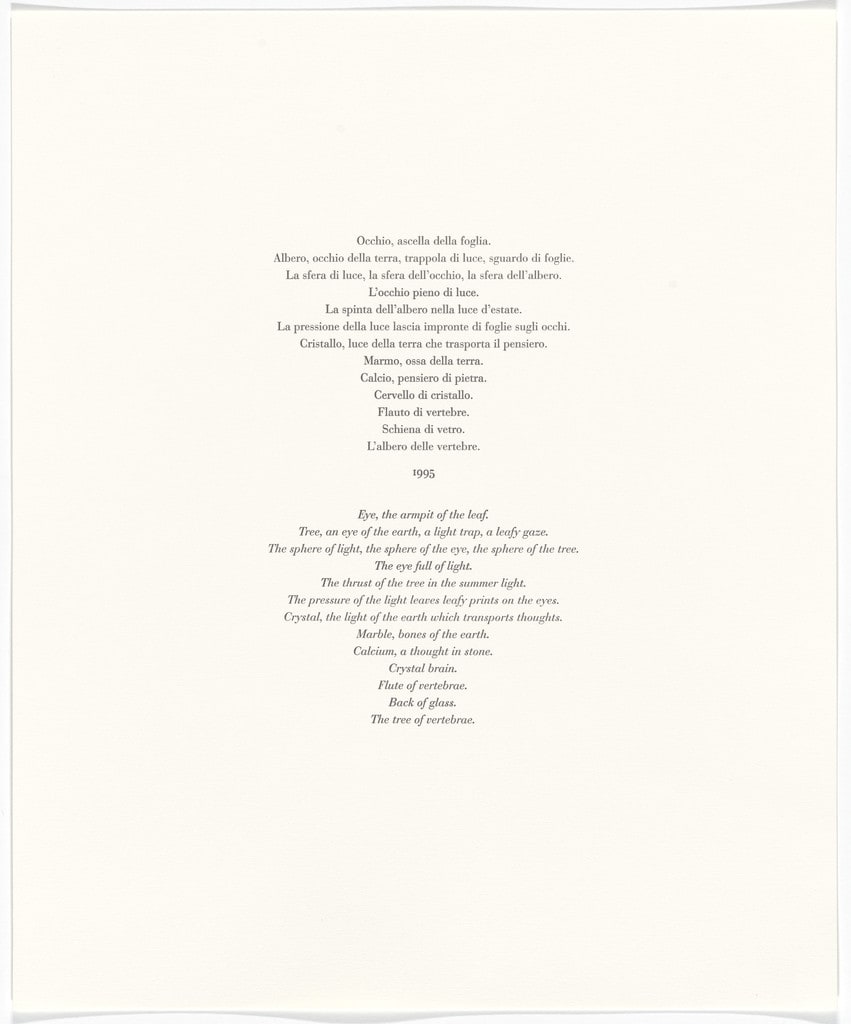 Untitled from Passi Sulle Cime Dei Gelsi (Footsteps on Mulberry Tree Tops)