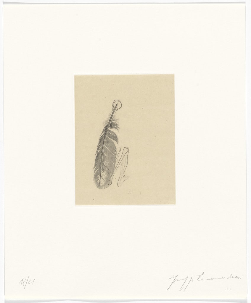 Untitled from Passi Sulle Cime Dei Gelsi (Footsteps on Mulberry Tree Tops)