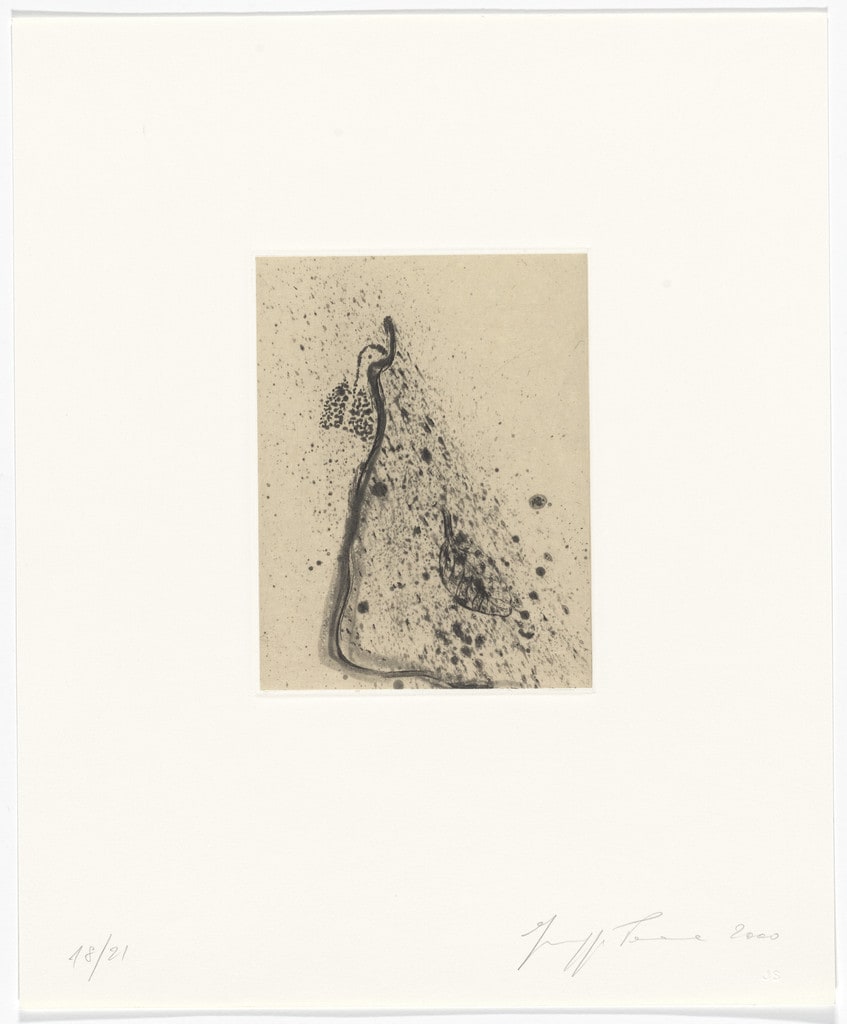 Untitled from Passi Sulle Cime Dei Gelsi (Footsteps on Mulberry Tree Tops)