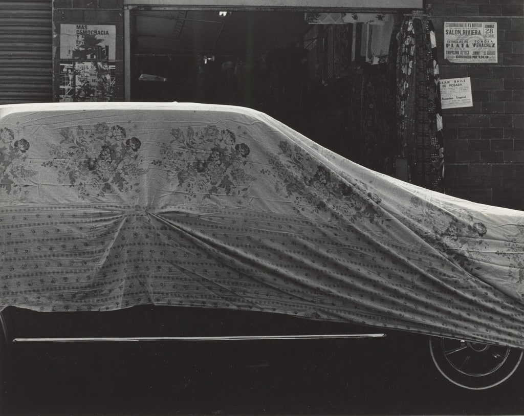 Carro (Car)