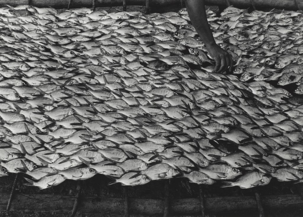 Pescaditos de Oaxaca, Mexico