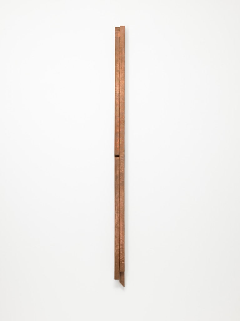 Pluriobject