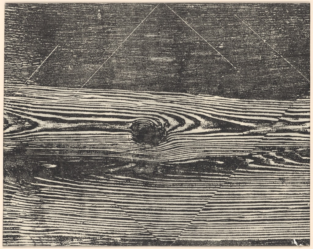 Untitled from the series Weavings (Tecelares)