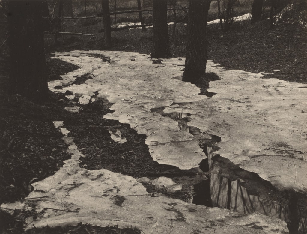 Snowscape near Zinnwald