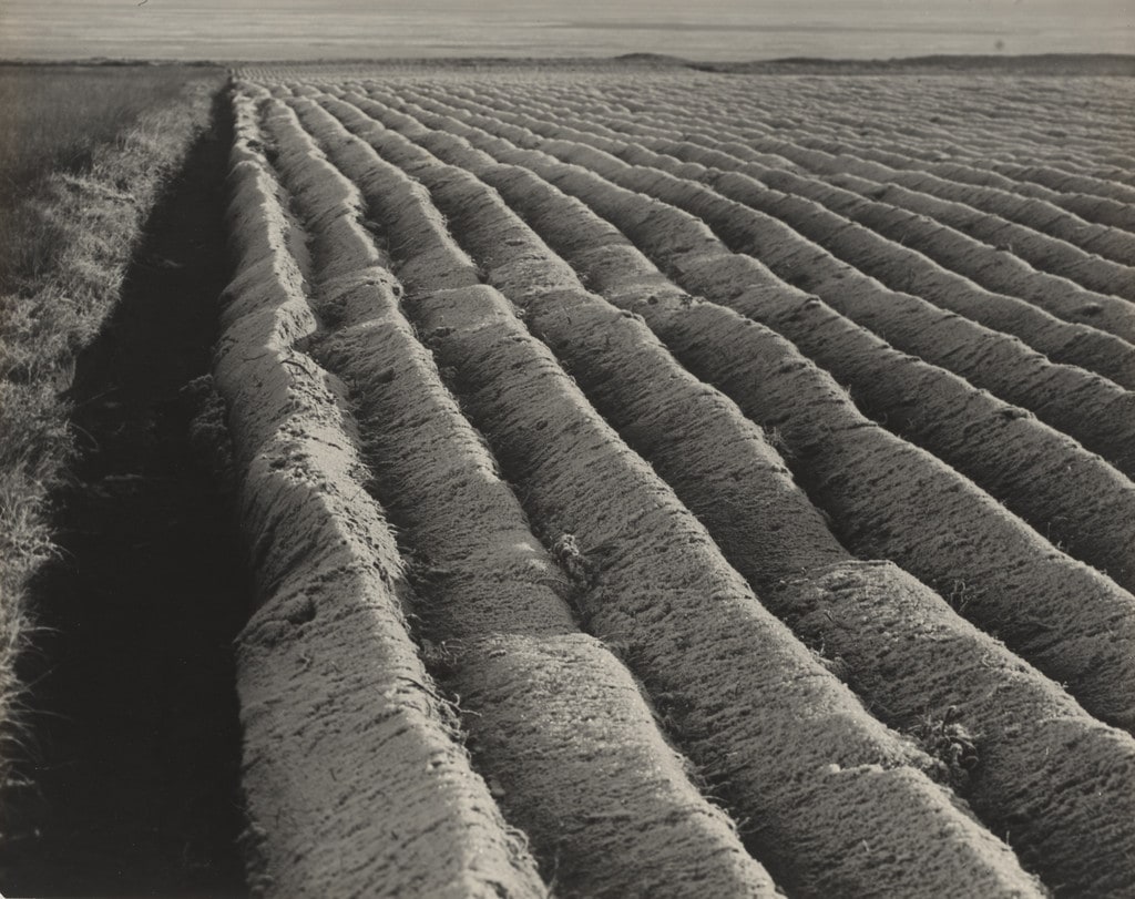 Plowed Field in Frost