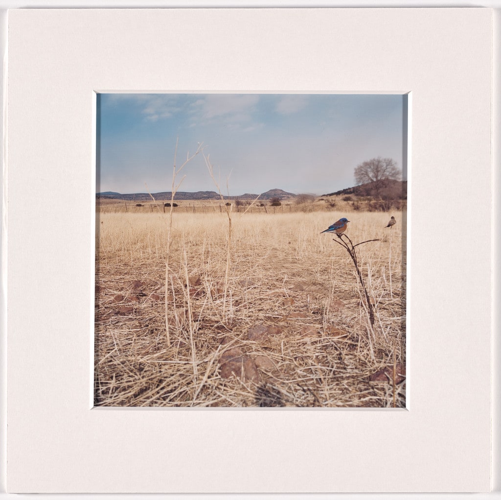 "TOGETHER" A17, January, February, March, 2007 (for Parkett, no. 100/101)