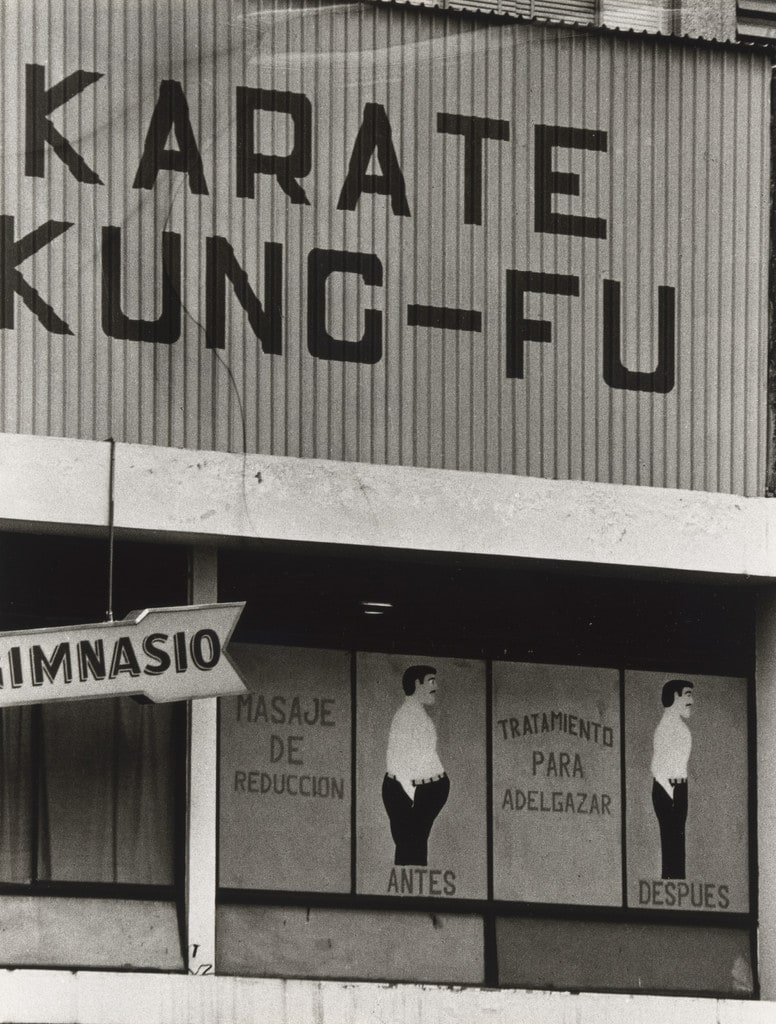 Untitled from the series Sistema nervioso (Nervous System)