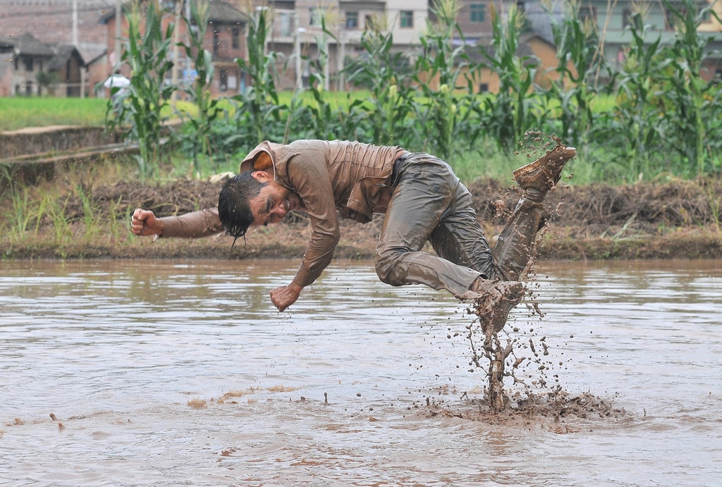 Freedom Farming