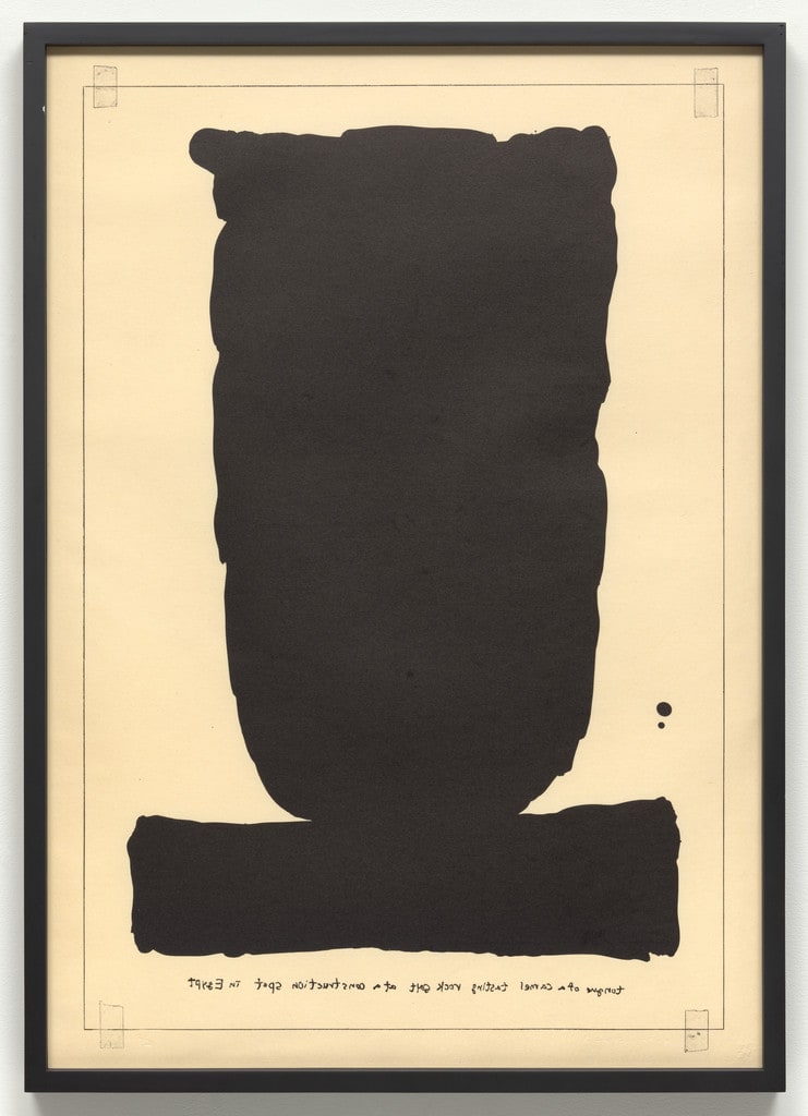 Untitled (Tongue of a Camel Tasting Rock Salt at a Construction Spot in Egypt) from an untitled series