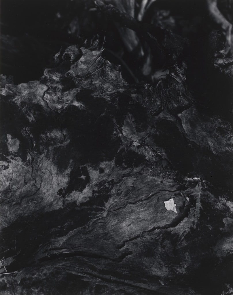 Untitled (CX10), Massachusetts
