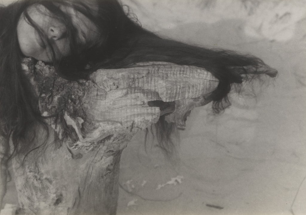 Fidelma Cadmus, Fire Island