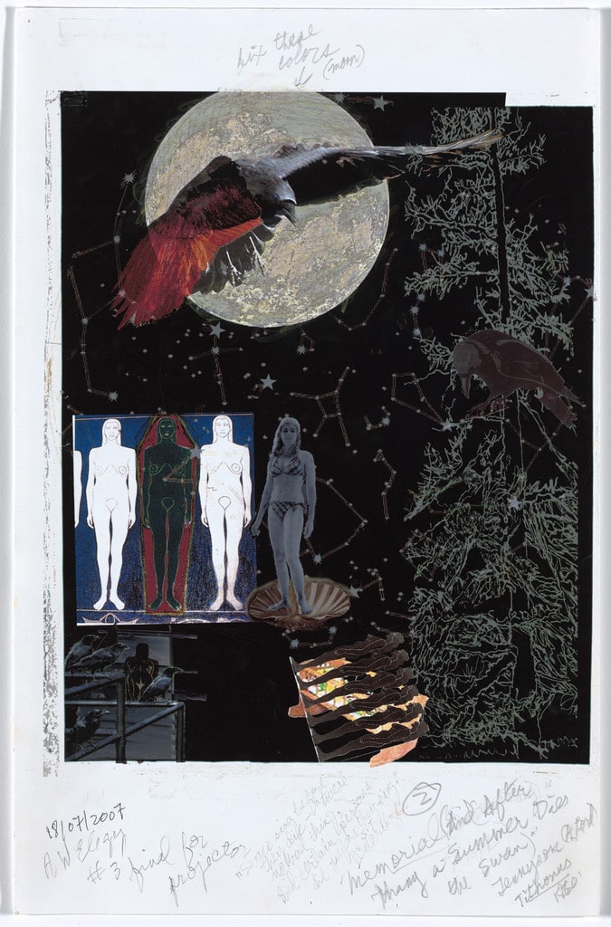 Study for Memorial for an Art World Body (Nevermore)