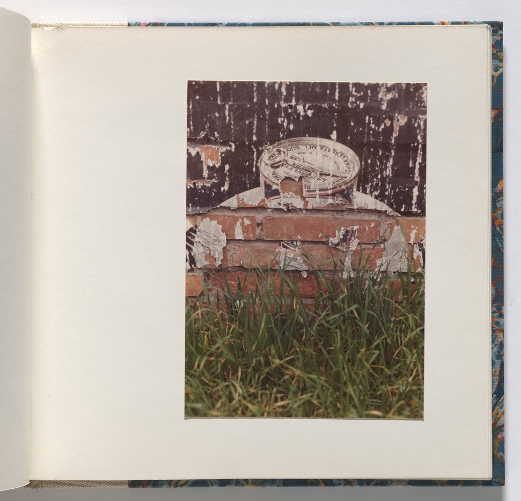 Cardboard Landscapes