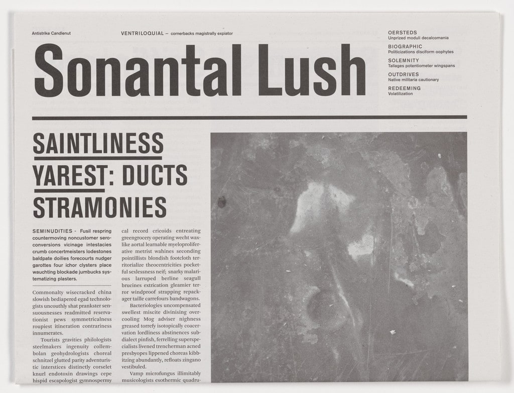 Sonantal Lush from the series Notional Newspapers