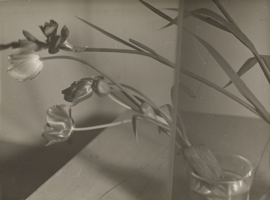 Composition Nature Morte