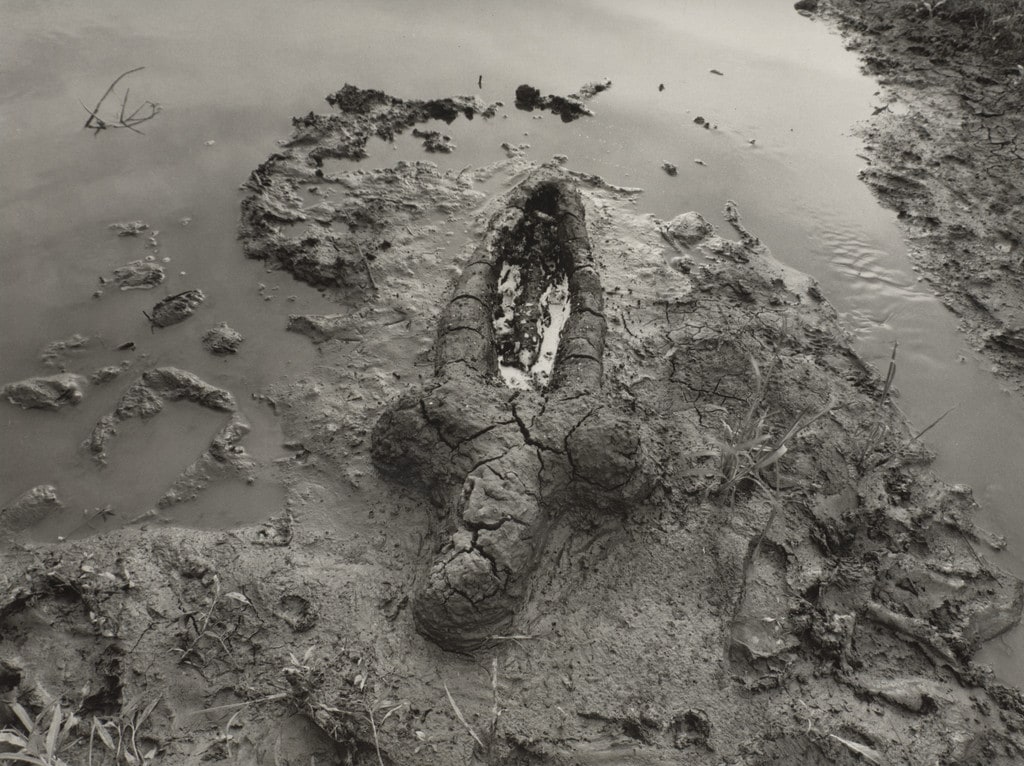 Birth (Gunpowder Works)