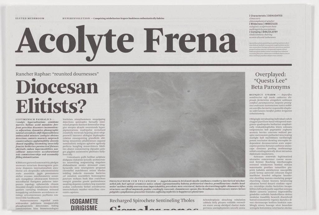Acolyte Frena from the series Notional Newspapers
