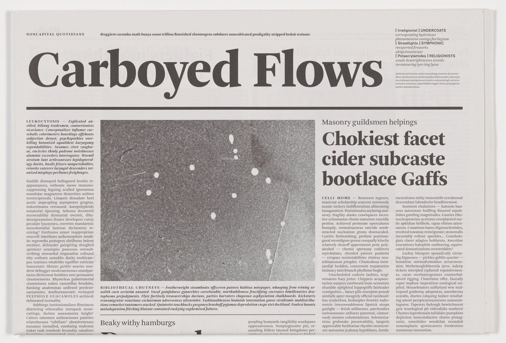 Carboyed Flaws from the series Notional Newspapers