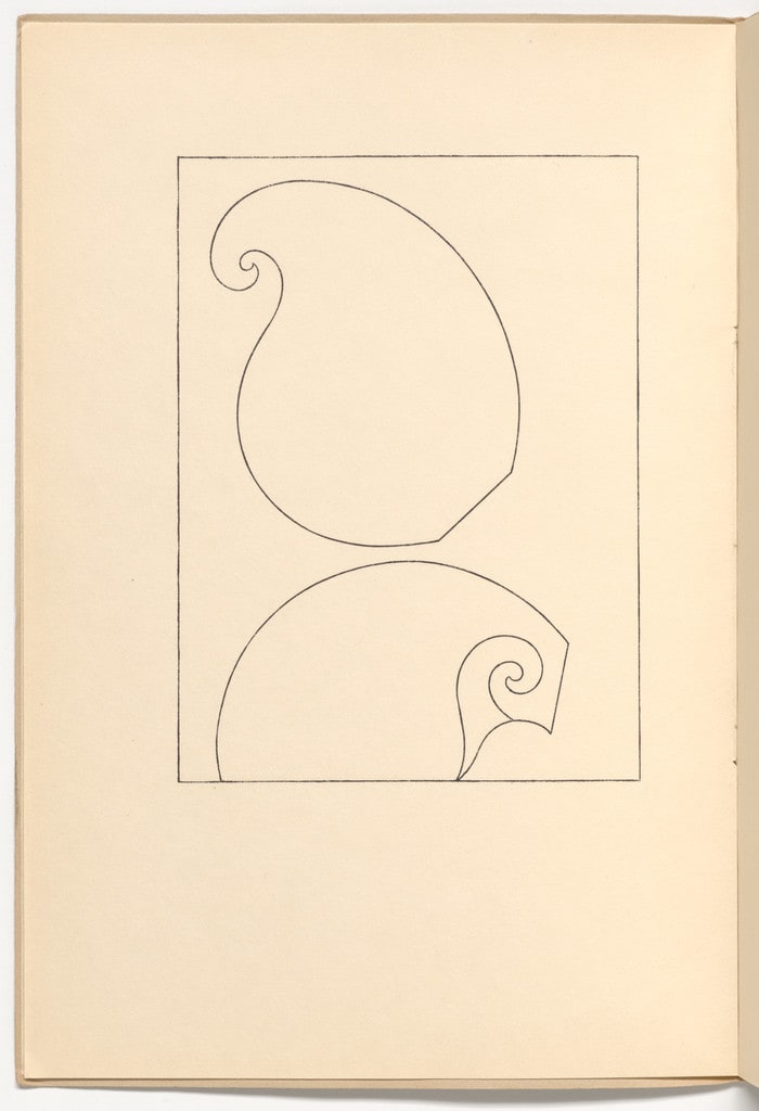 Plate (folio 2 verso) from Muscheln und schirme (Shells and Umbrellas)