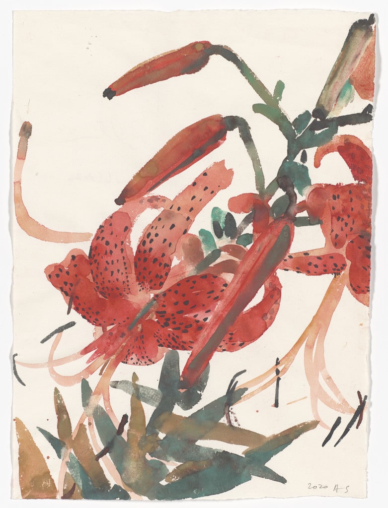 Untitled (Daylily)