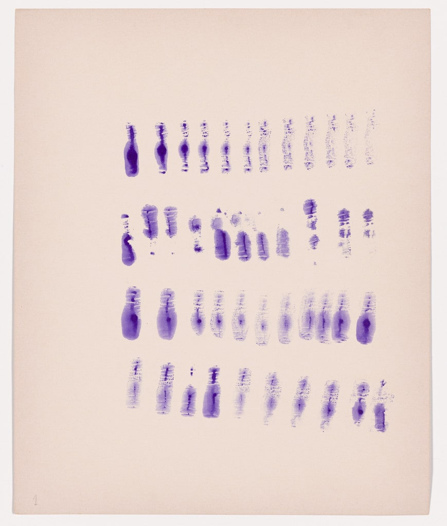 Untitled (text)