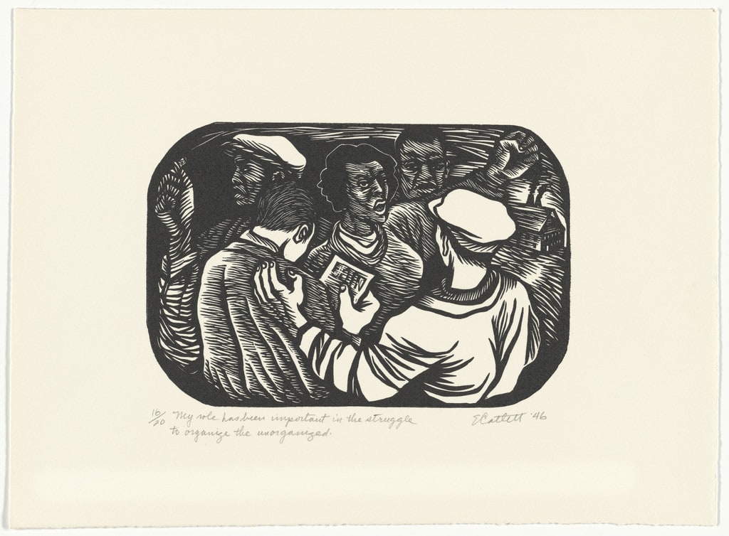 My Role Has Been Important in the Struggle to Organize the Unorganized from the series The Black Woman