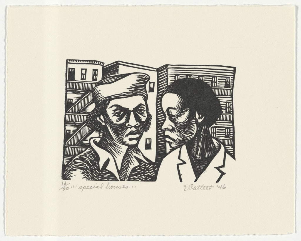 Special Houses… from the series The Black Woman