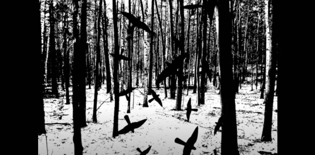The Forest
