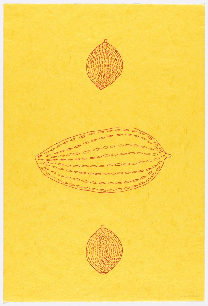 Cacao (Pohoroa ana si)