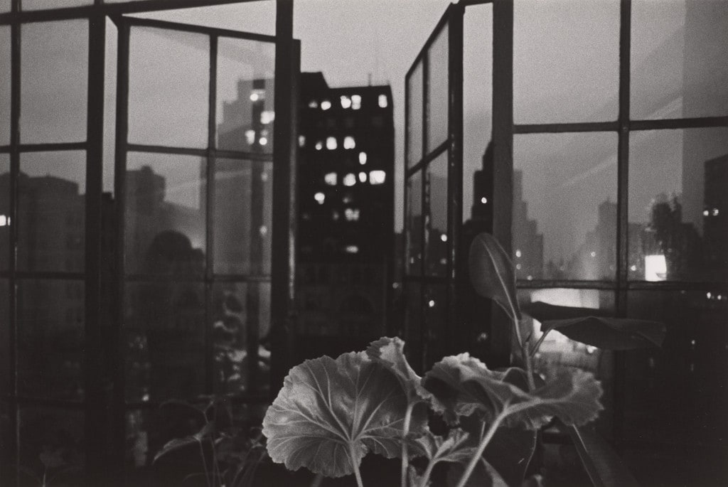 Untitled (New York)